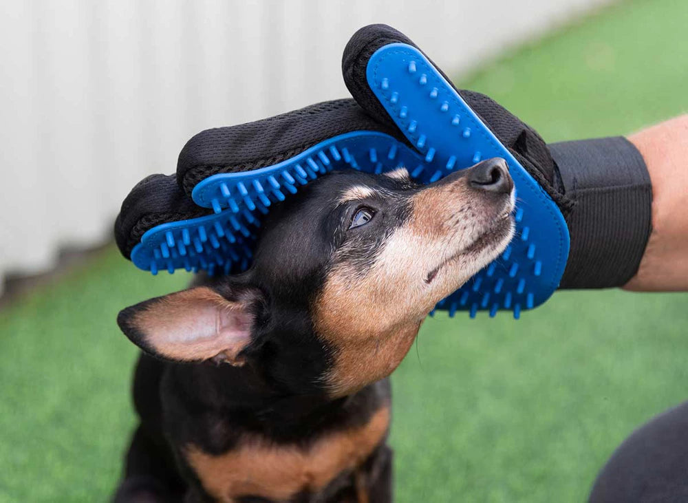 FitStart Pets Basic Pflegebürste für Hund und Katze – geeignet zur Pflege von Kurz- und Langfell.